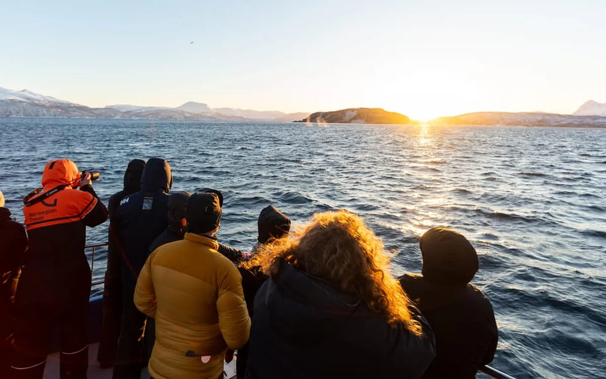 Guests on deck against the low winter sun